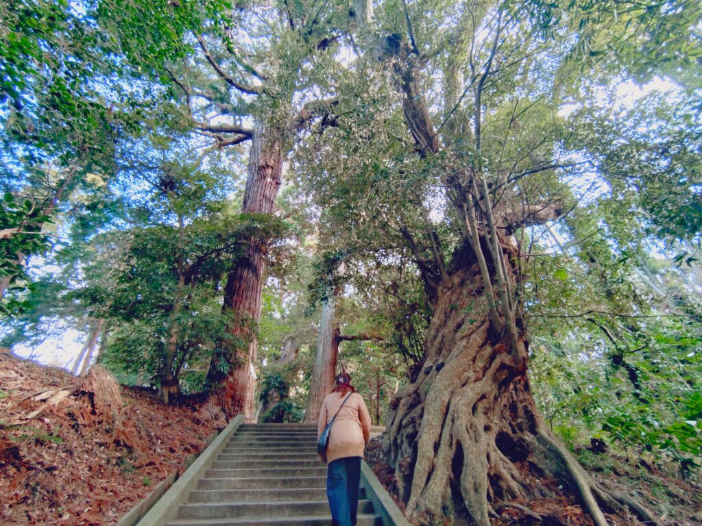 20260118 103146348 1024x768 - 東金日吉神社【千葉県】