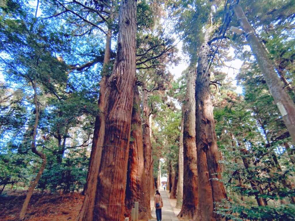 20260118 103358089 1024x768 - 東金日吉神社【千葉県】