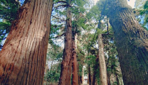 20260118 103415325 520x300 - トップページ用の固定ページ-日本語