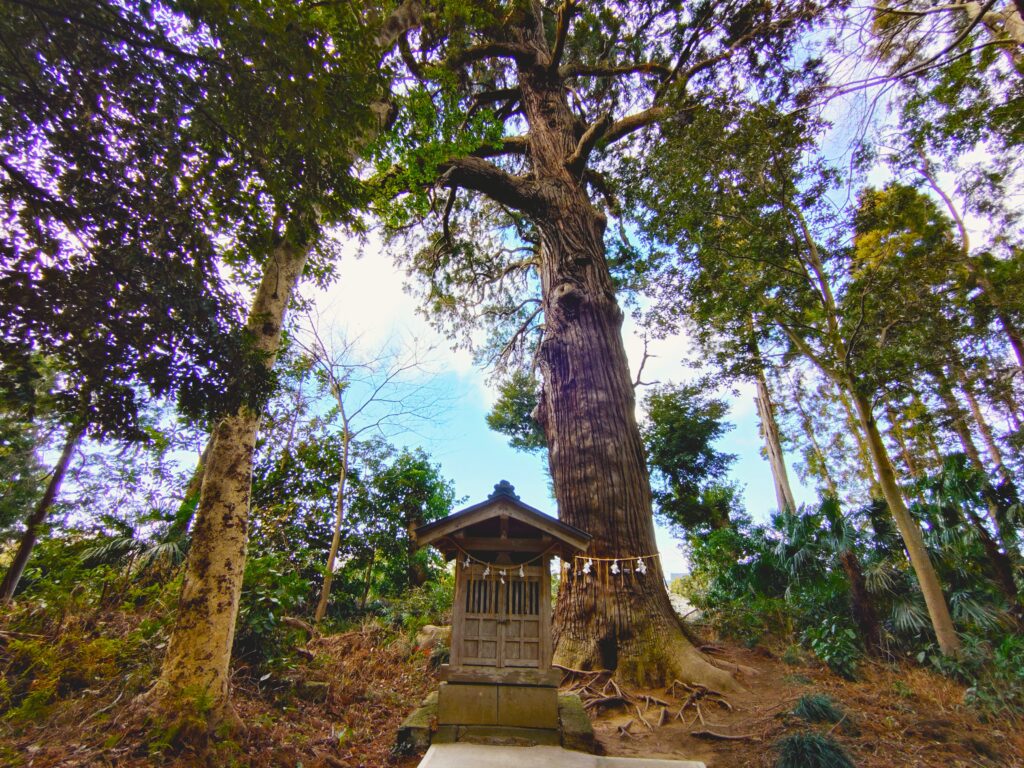 20260118 110520568 1024x768 - 東金日吉神社【千葉県】