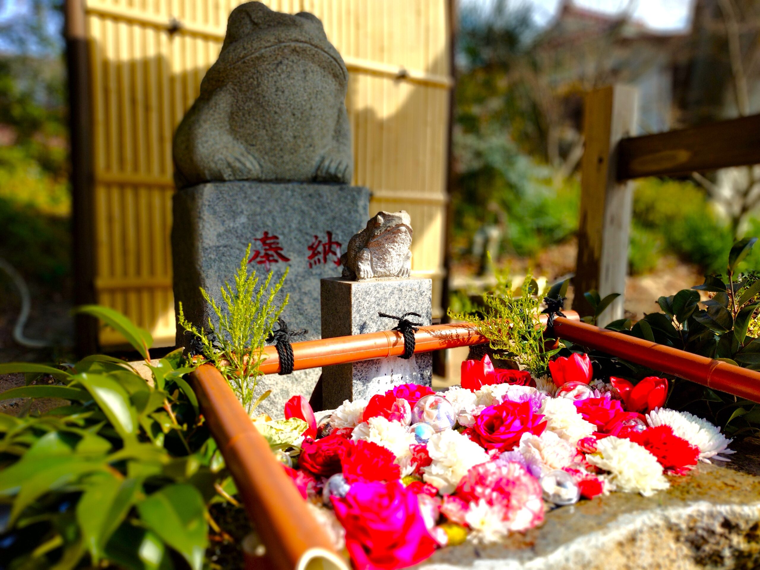 20260118 114304540 scaled - 田間神社【千葉県】