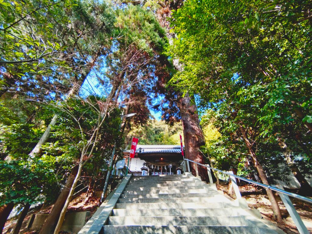 20260118 114403484 1024x768 - 田間神社【千葉県】