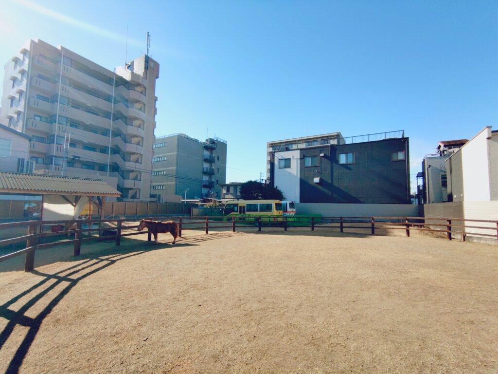 20260125 132632017 1024x768 - 五方山 熊野神社【東京都】