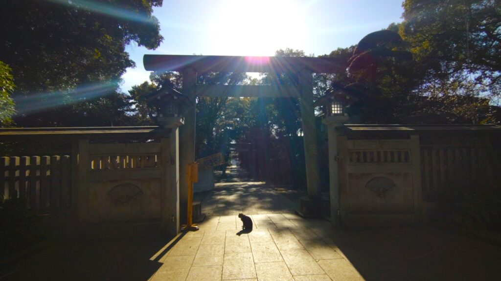 20260131 140254678 1024x576 - 花畑大鷲神社【東京都】