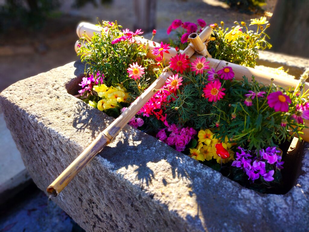 小野神社【東京都】 20260201 093636130 1024x768 - 小野神社【東京都】