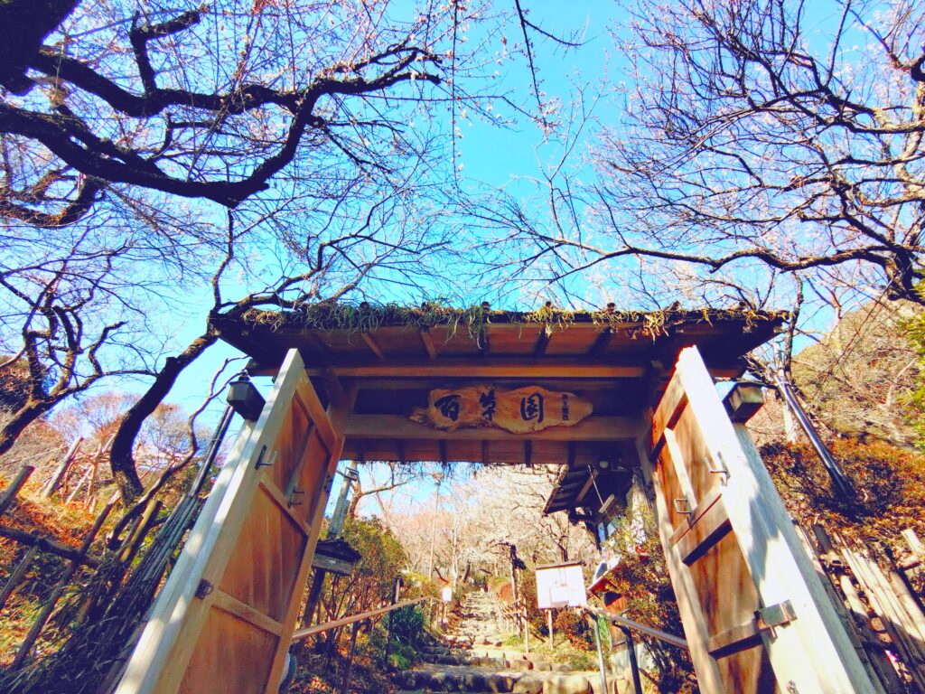 京王百草園【東京都】 20260201 101404486 1024x768 - 京王百草園【東京都】