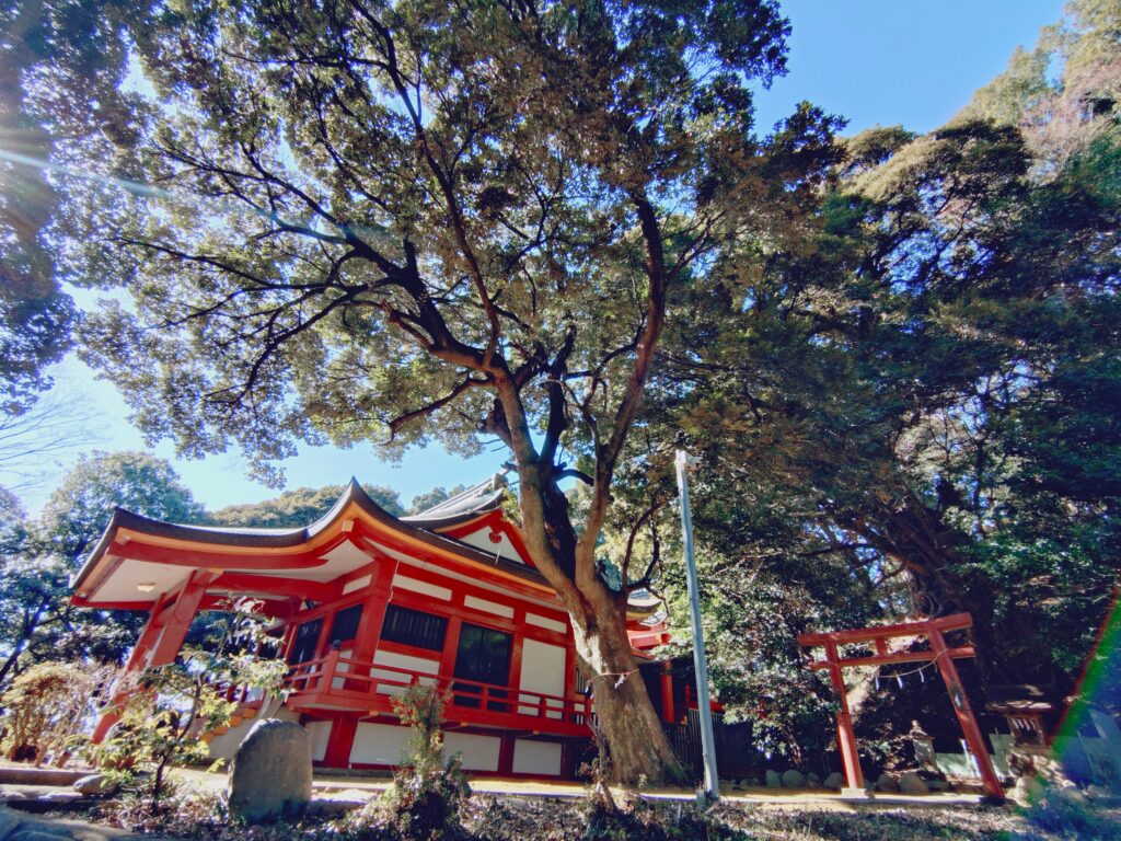 百草八幡神社【東京都】 20260201 103857401 1024x768 - 百草八幡神社【東京都】
