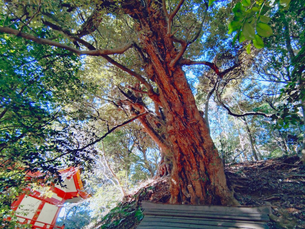 百草八幡神社【東京都】 20260201 104152188 1024x768 - 百草八幡神社【東京都】