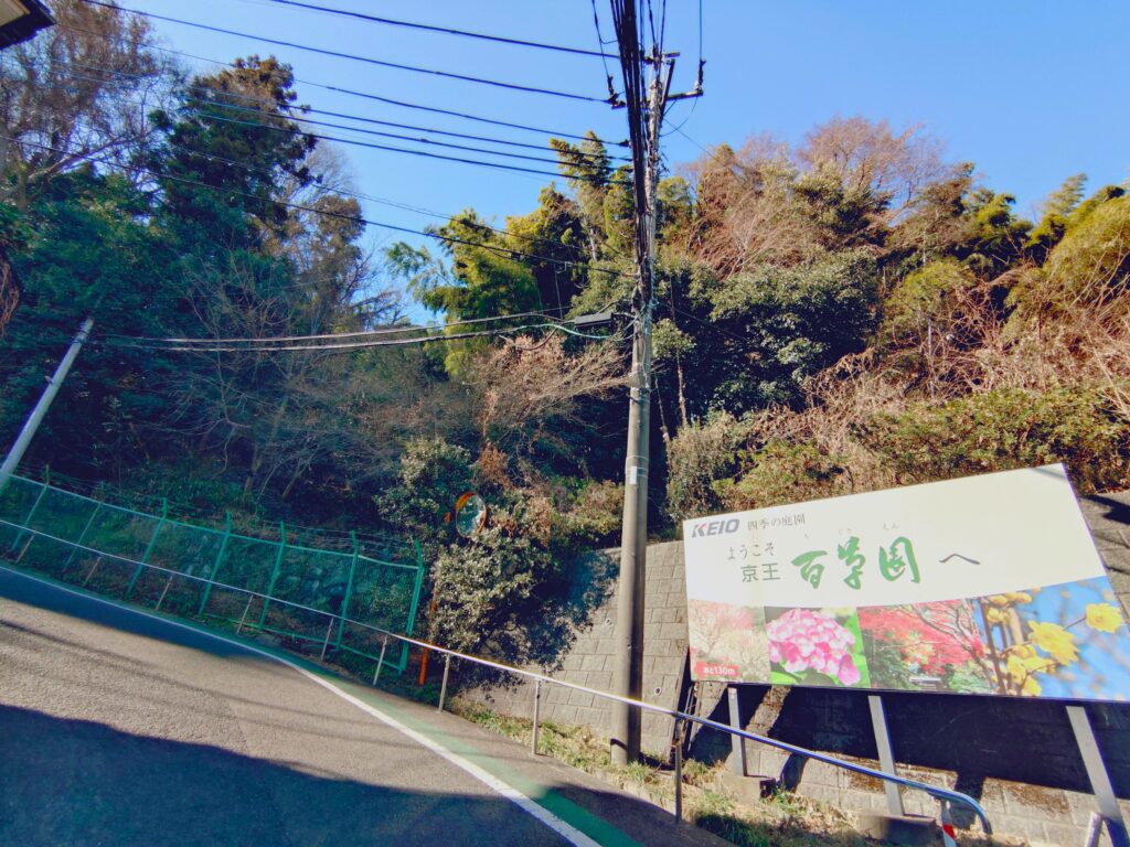 京王百草園【東京都】 20260201 105134908 1024x768 - 京王百草園【東京都】