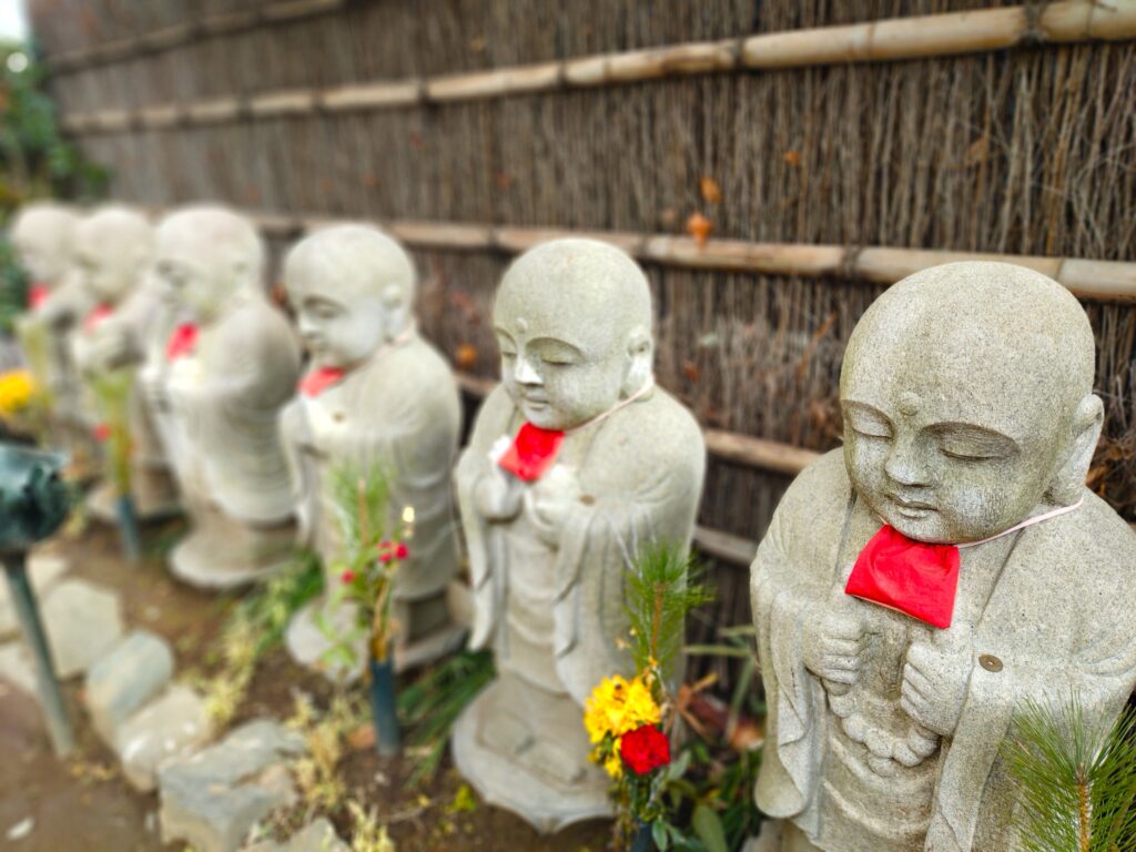 20260212 111334246 1024x768 - 飛不動 (三高寺 正寳院)【東京都】