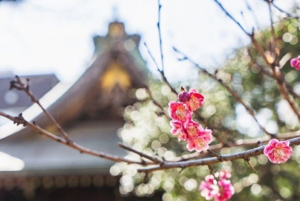 20260212 120252774 0 1024x684 - 小野照崎神社【東京都】