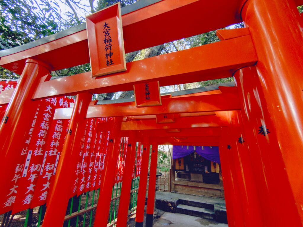 大宮八幡宮【東京都】 20260215 094727838 1024x768 - 大宮八幡宮【東京都】