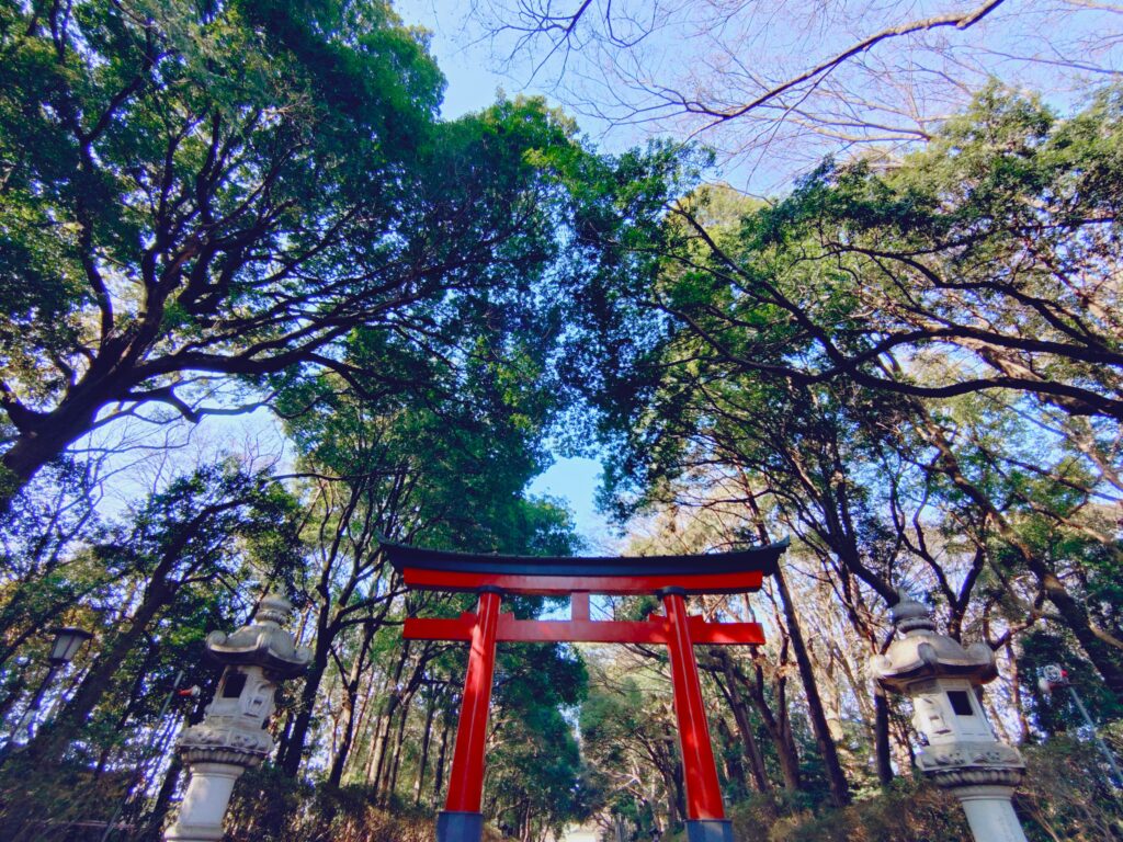 大宮八幡宮【東京都】 20260215 100701397 2 1024x768 - 大宮八幡宮【東京都】