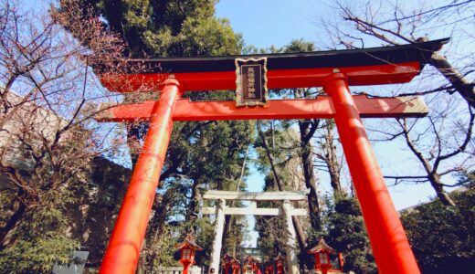 20260215 103749261 520x300 - トップページ用の固定ページ-日本語