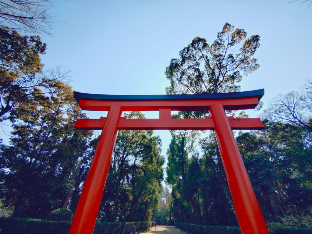 井草八幡宮【東京都】 20260215 130656668 1024x768 - 井草八幡宮【東京都】