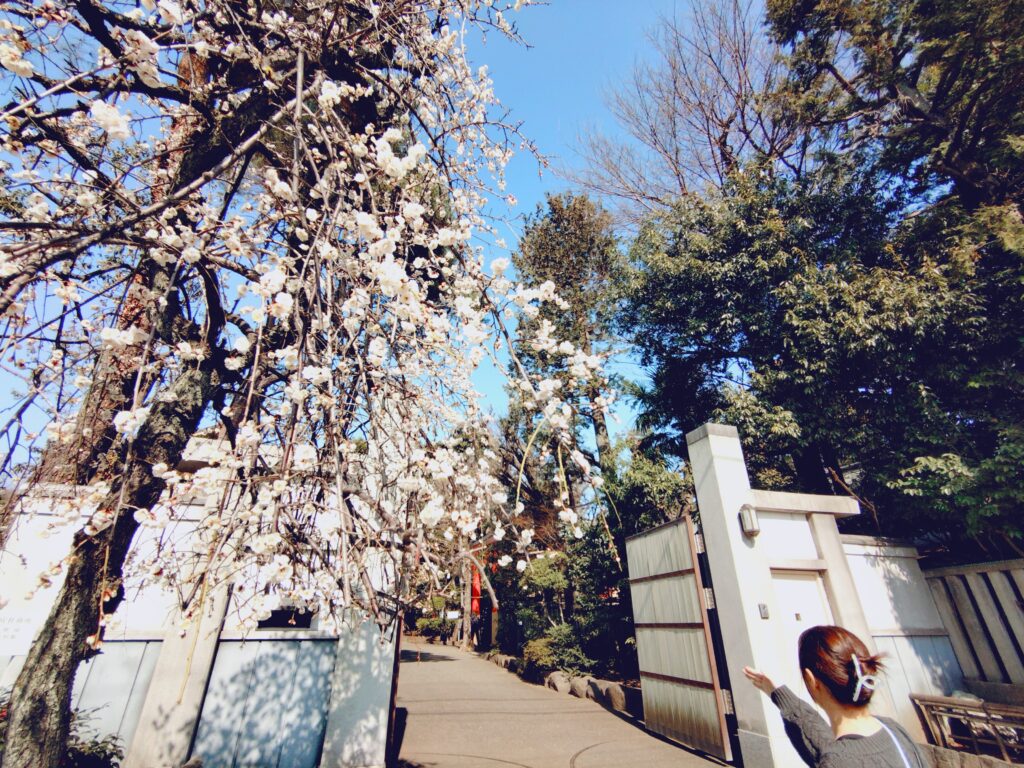 井草八幡宮【東京都】 20260215 131223252 1024x768 - 井草八幡宮【東京都】