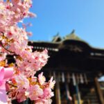 20260222 090754219 2 150x150 - Igusa Hachimangu Shrine [Tokyo]