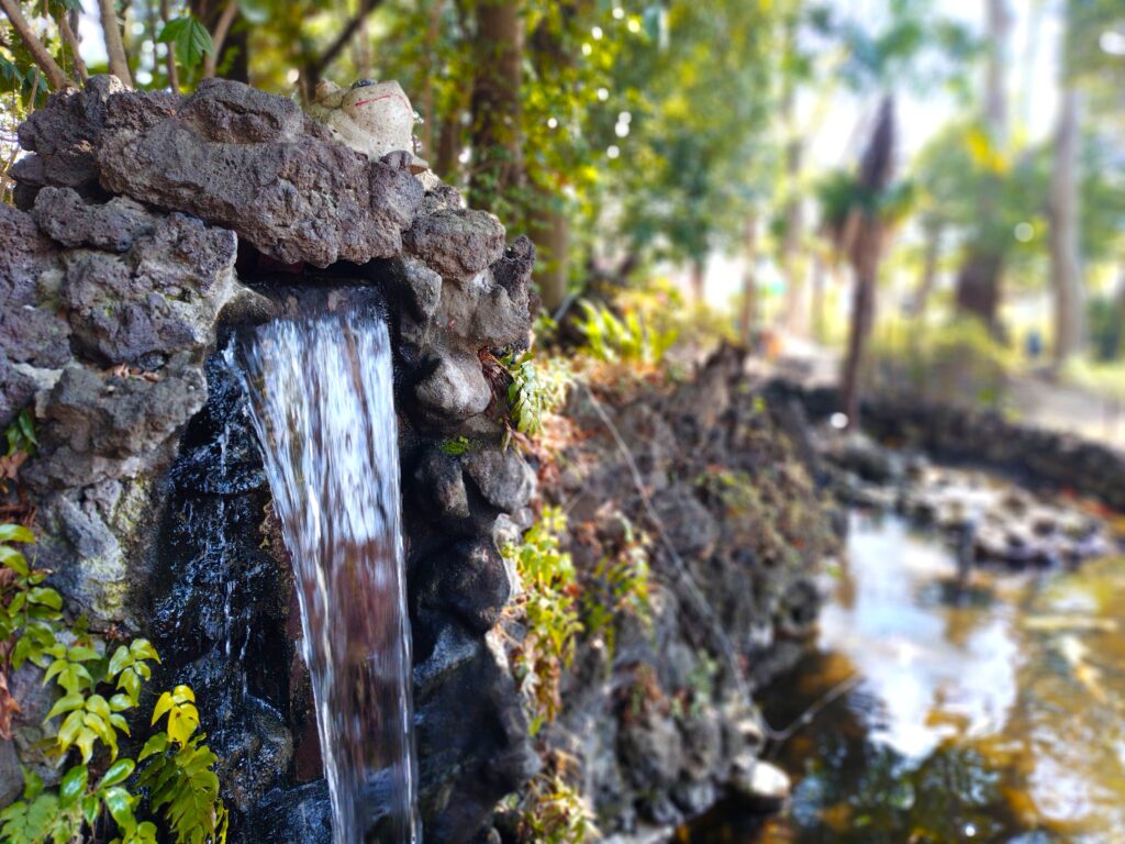 20260222 111523316 1024x768 - 世田谷八幡宮【東京都】