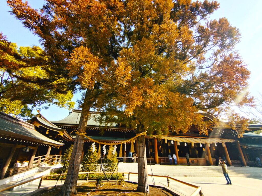 寒川神社【東京都】 20260301 090619947 1024x768 - 寒川神社【東京都】