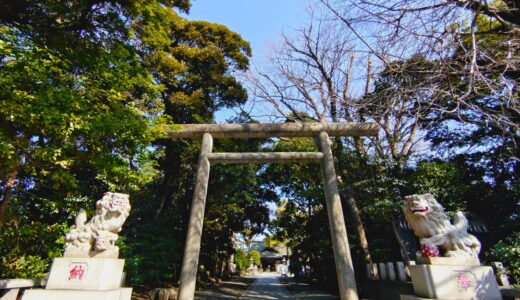 20260301 100456258 520x300 - トップページ用の固定ページ-日本語