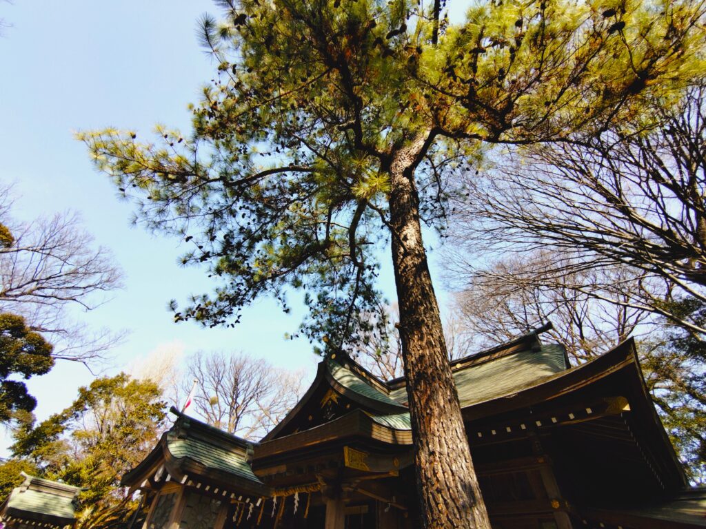 前鳥神社【神奈川県】 20260301 101258198 1024x768 - 前鳥神社【神奈川県】