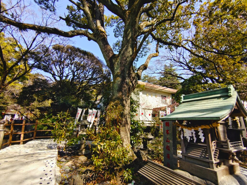 20260301 111843587 1024x768 - 平塚八幡宮【神奈川県】