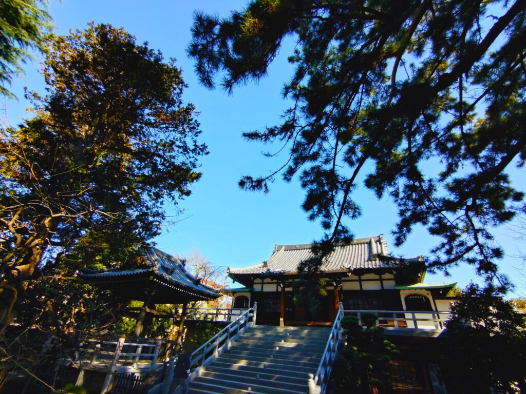 新宿 諏訪神社と玄国寺【東京都】 20260315 092253695 1024x768 - 新宿 諏訪神社と玄国寺【東京都】