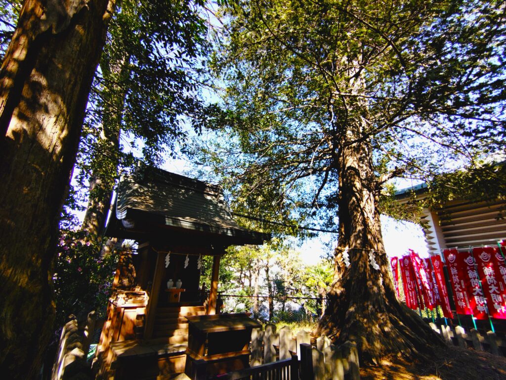 新宿 諏訪神社と玄国寺【東京都】 20260315 093627759 1024x768 - 新宿 諏訪神社と玄国寺【東京都】