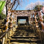 放生寺【東京都】 20260315 101823942 2 150x150 - 放生寺【東京都】