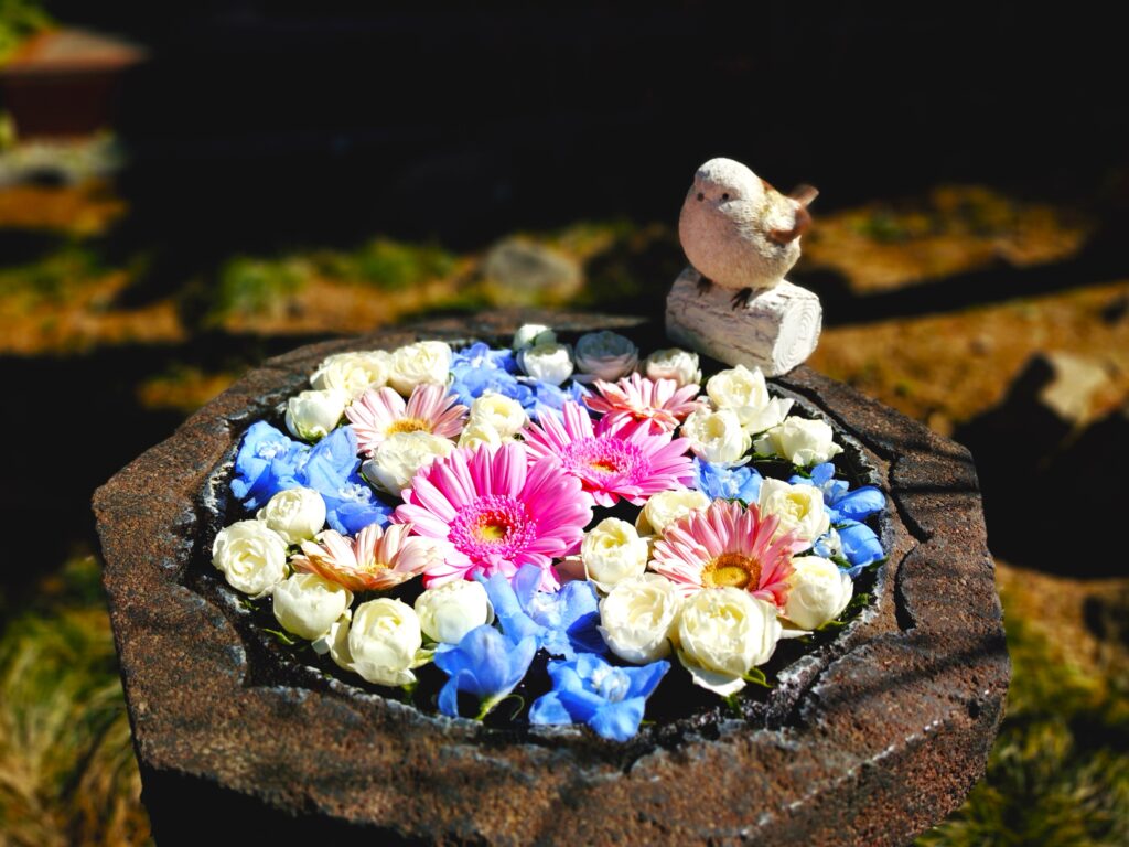 法輪寺【東京都】 20260315 102048945 2 1024x768 - 法輪寺【東京都】