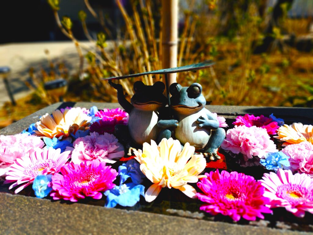 法輪寺【東京都】 20260315 102759007 1024x768 - 法輪寺【東京都】