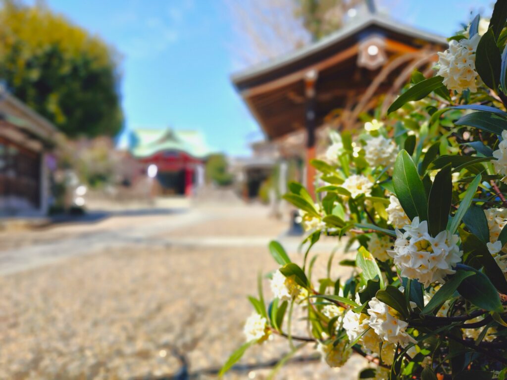 筑土八幡神社【東京都】 20260315 112321713 1024x768 - 筑土八幡神社【東京都】