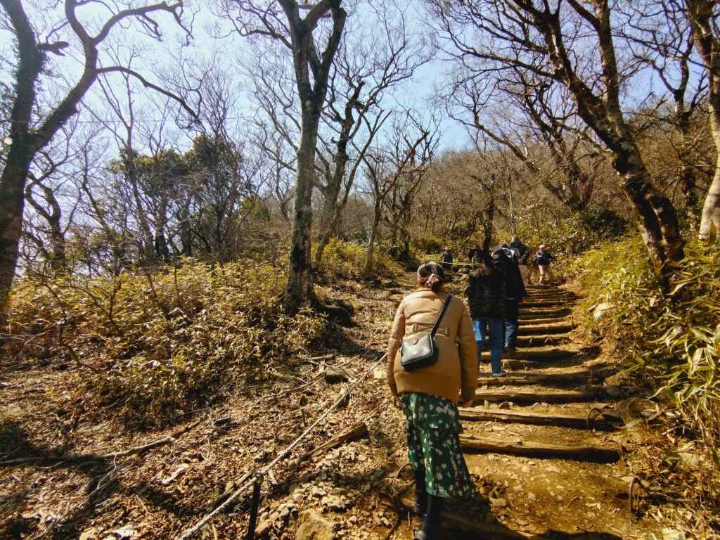 20260321 112649460 1024x768 - 筑波山神社 男体山御本殿【茨城県】