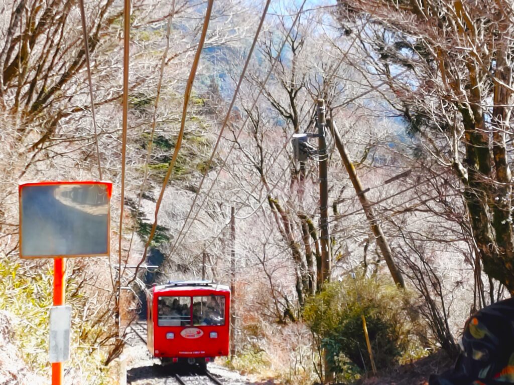 20260321 115906555 1024x768 - 筑波山神社 男体山御本殿【茨城県】
