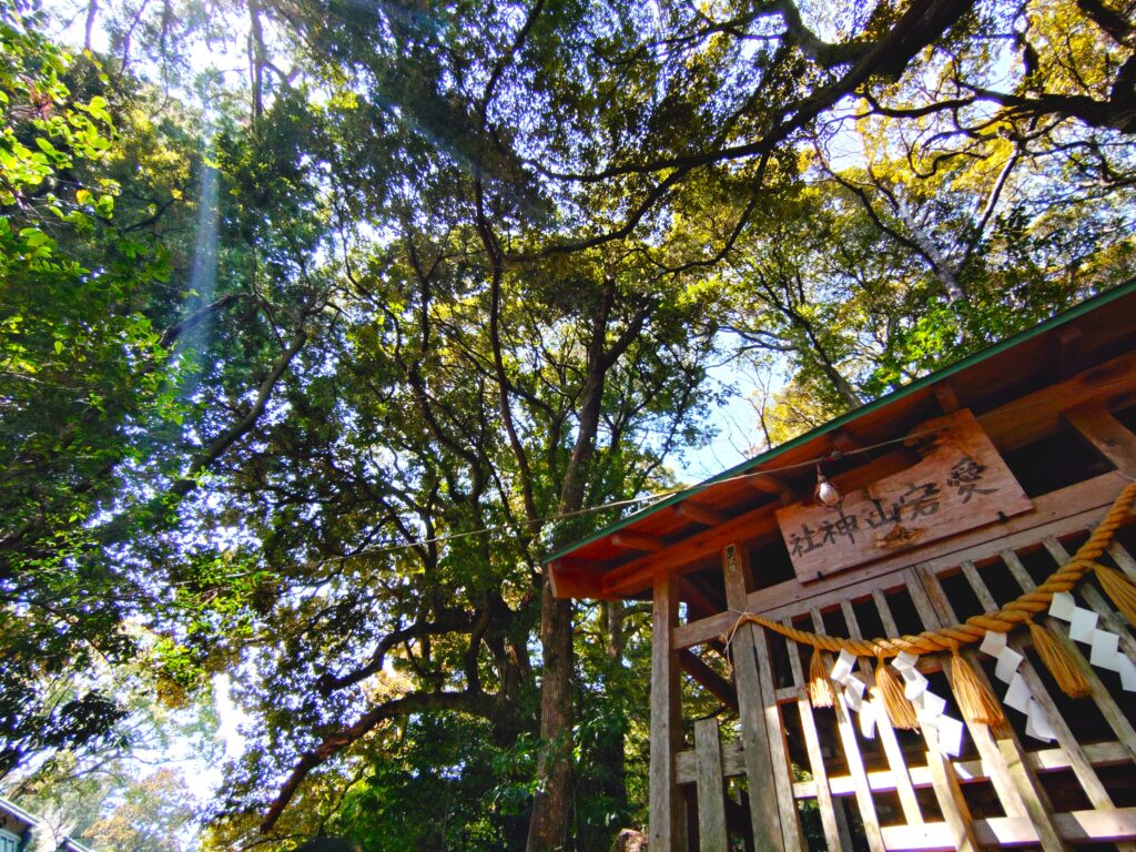 20260321 122210085 1024x768 - 筑波山神社【茨城県】