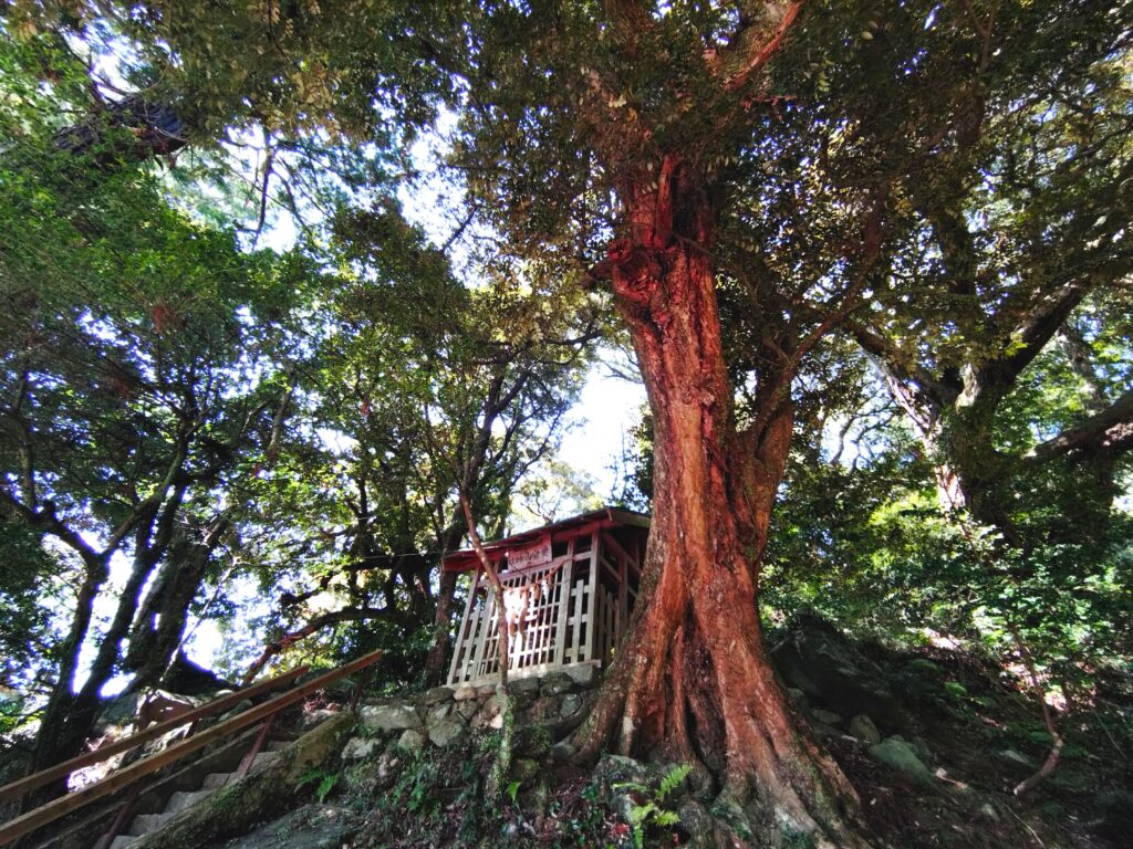 20260321 122256872 1024x768 - 筑波山神社【茨城県】