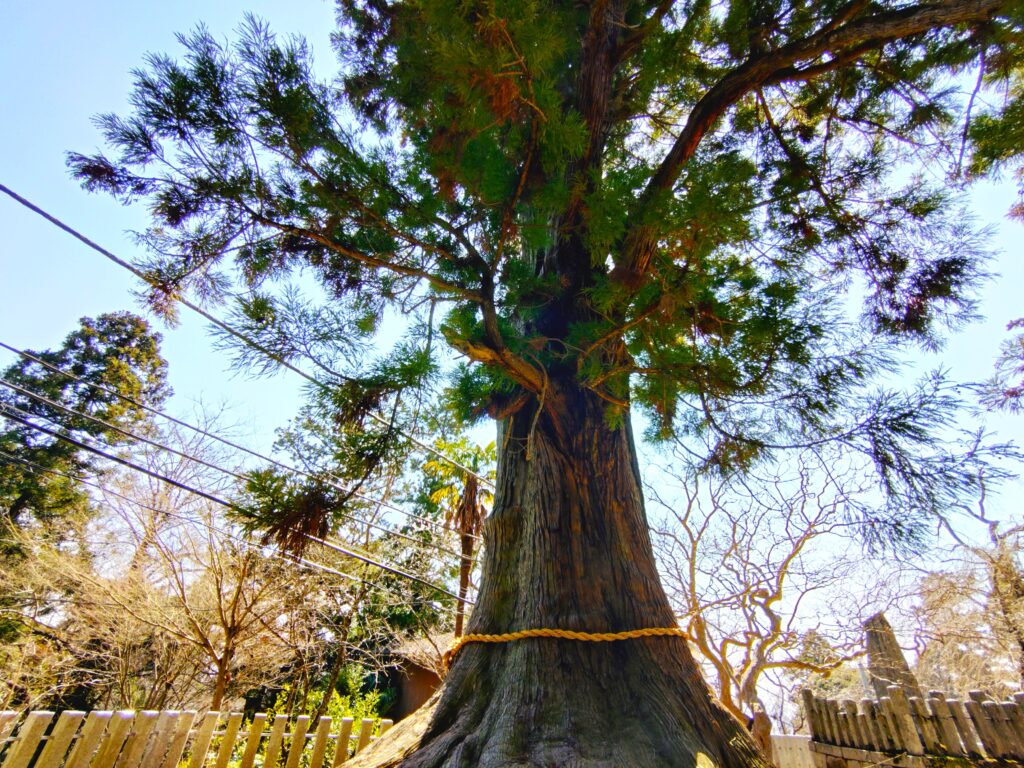 20260321 122504042 1024x768 - 筑波山神社【茨城県】