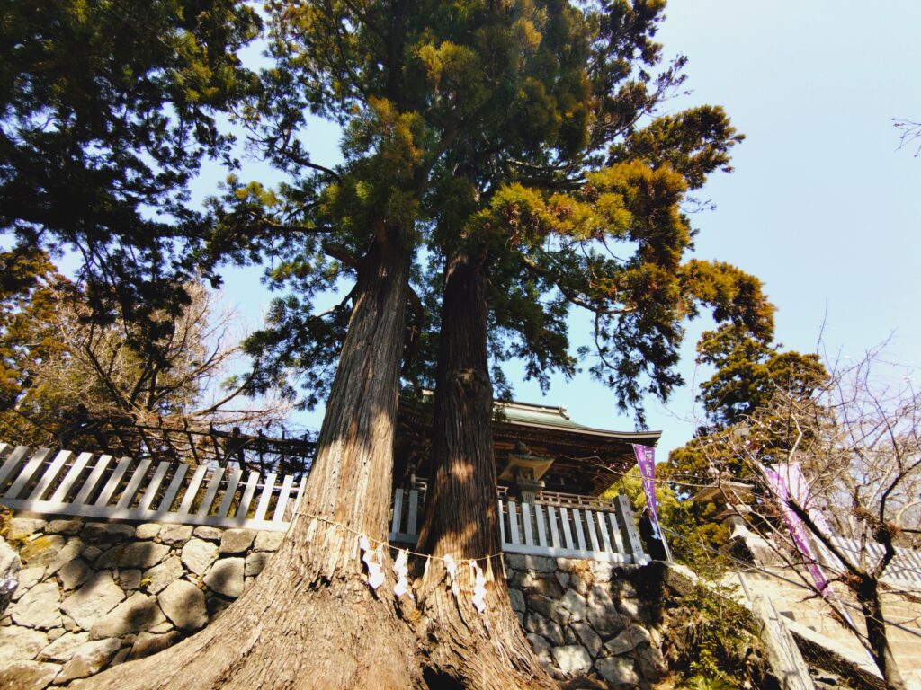 20260321 123210508 1024x768 - 筑波山神社【茨城県】