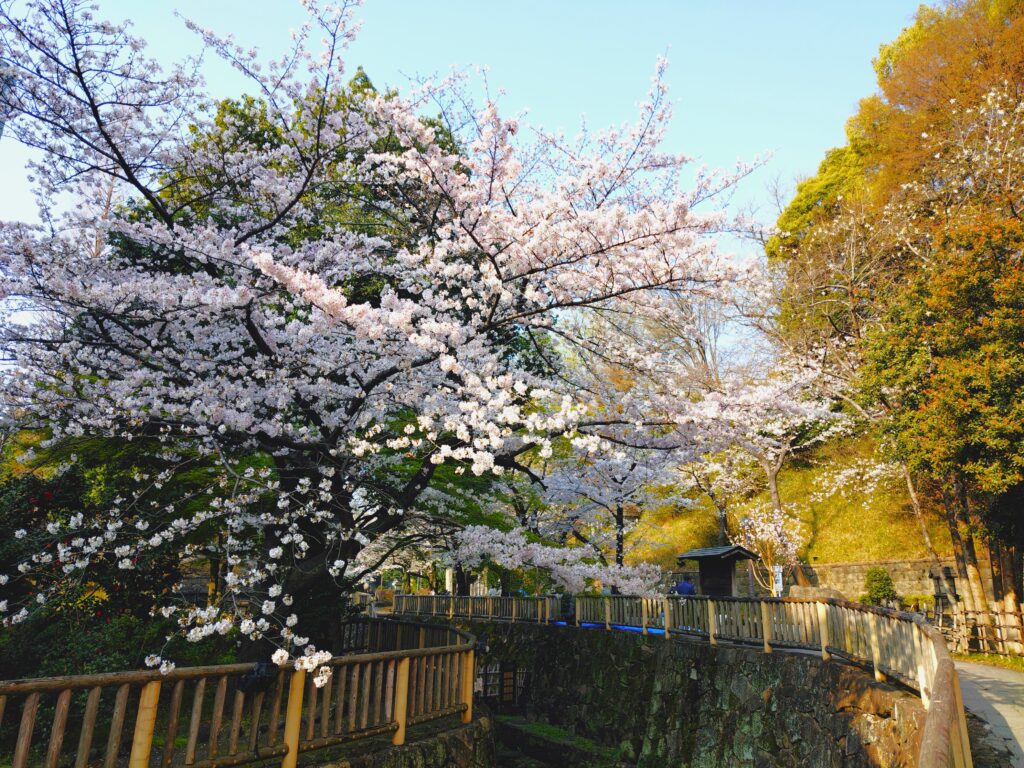 現在の画像に代替テキストがありません。ファイル名: 20260329_080143640-scaled.jpg 現在の画像に代替テキストがありません。ファイル名: 20260329_080143640-scaled.jpg