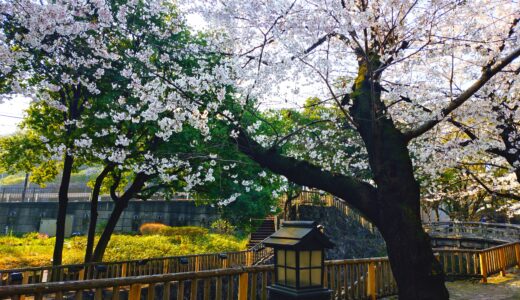 20260329 080224135 520x300 - トップページ用の固定ページ-日本語