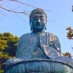 20260329 085425389 2 1 150x150 - 東京国立博物館（日本庭園）【東京都】