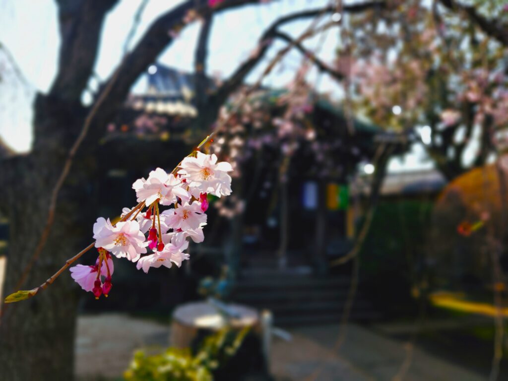 20260329 085809105 1024x768 - 天王寺【東京都】