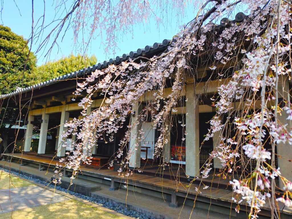 20260329 085908308 1024x768 - 天王寺【東京都】