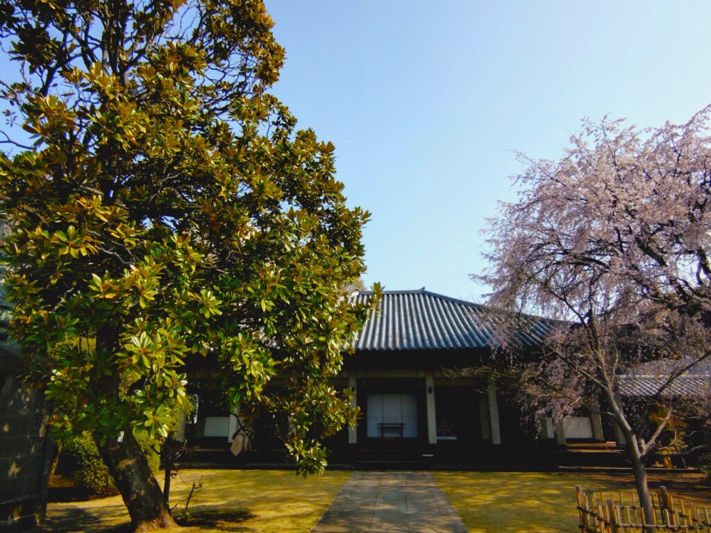 20260329 085941837 2 1024x768 - 天王寺【東京都】