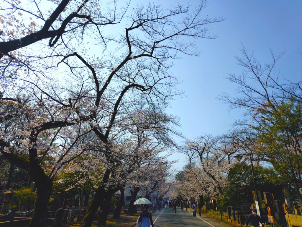 20260329 090222658 1024x768 - 天王寺【東京都】