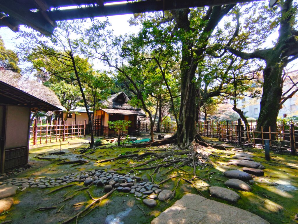 20260329 105820939 1024x768 - 東京国立博物館（日本庭園）【東京都】