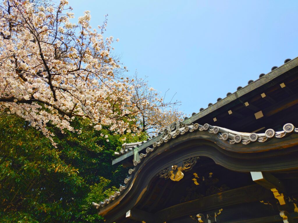 20260329 115737936 1024x768 - 東京国立博物館（日本庭園）【東京都】