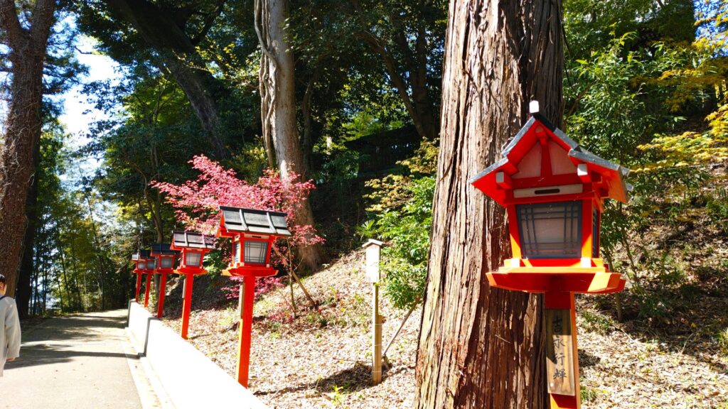 20260412 095053493 1024x576 - 常陸國總社宮【茨城県】