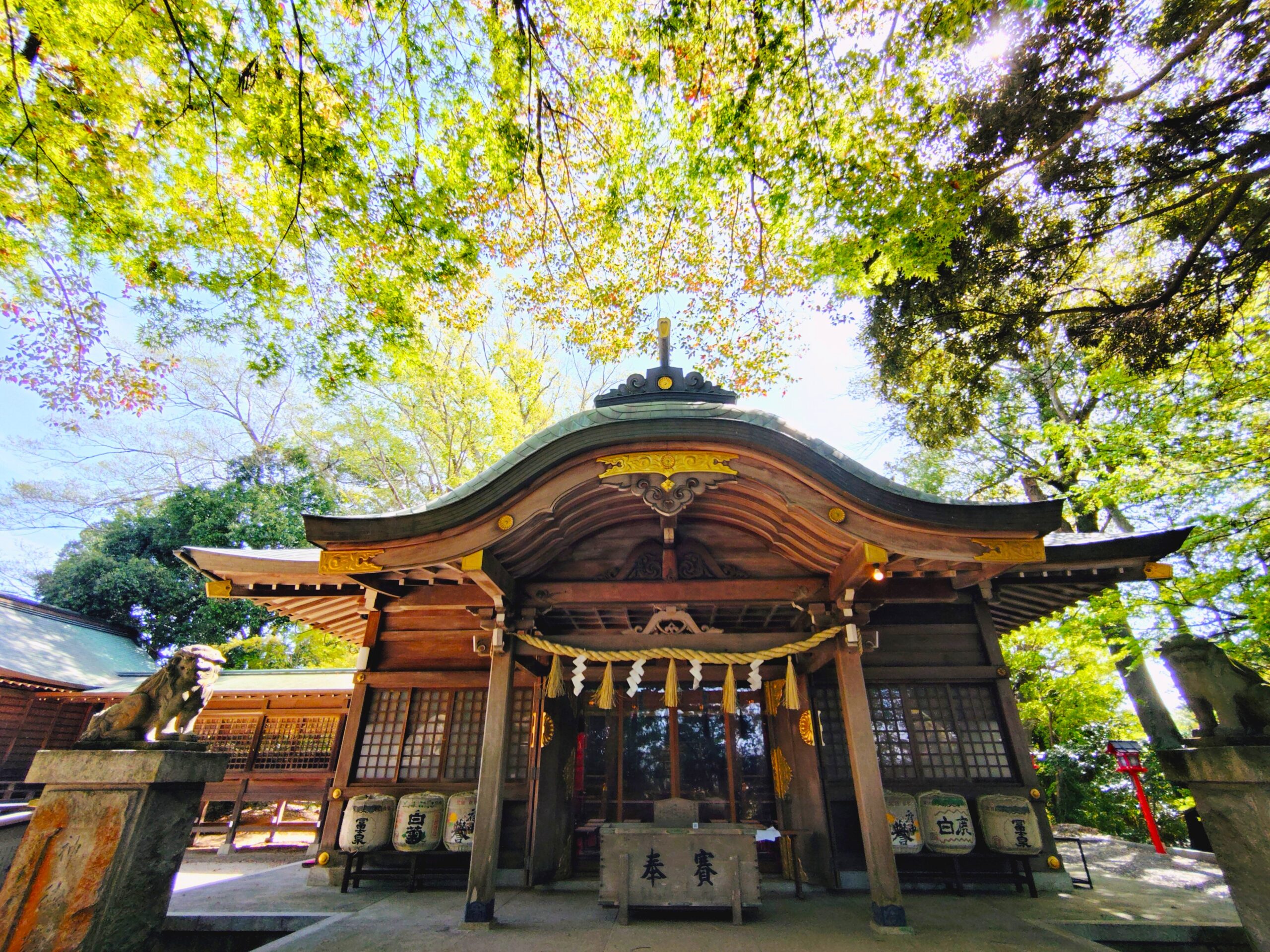 常陸國總社宮【茨城県】 | 【御朱印・絶景】日本の神社仏閣めぐり