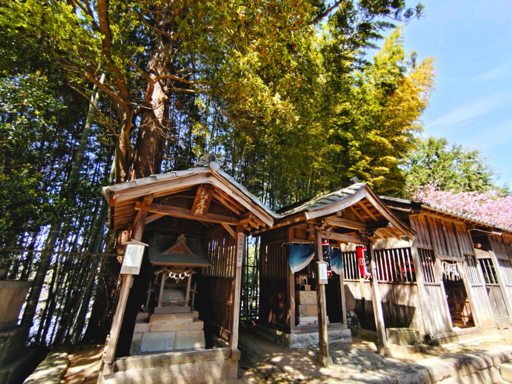 20260412 095602204 1024x768 - 常陸國總社宮【茨城県】